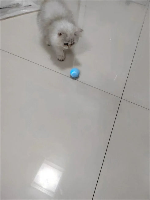 Smart Interactive Rolling Ball for Cats – Electronic Indoor Toy